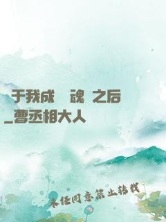 關于我成為滅魂師之后
