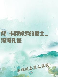 降臨卡利姆多的道士