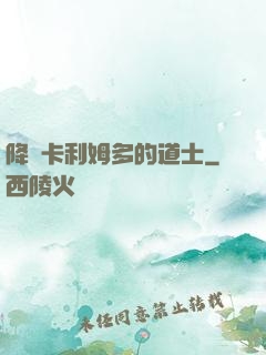 降臨卡利姆多的道士