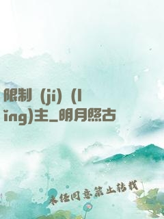 限制級(jí)領(lǐng)主