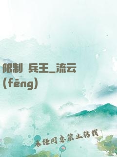 限制級兵王