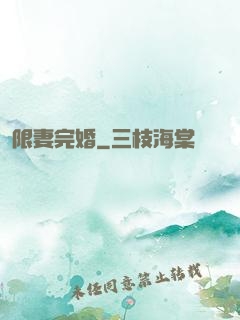 限妻完婚