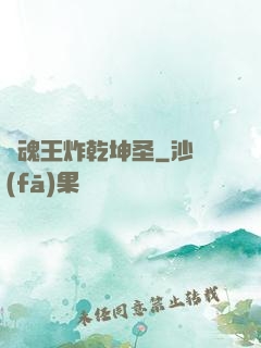 陣魂王炸乾坤圣