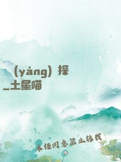 陰陽(yáng)偵探