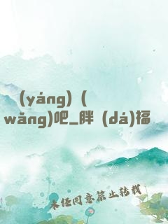 陰陽(yáng)網(wǎng)吧
