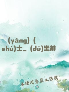 陰陽(yáng)術(shù)士