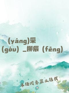 陰陽(yáng)采購(gòu)員