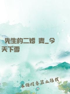陸先生的二婚嬌妻