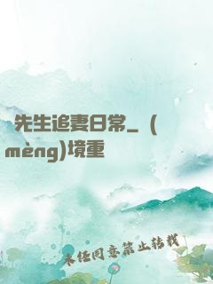 陸先生追妻日常