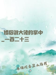 隱婚后做大佬的掌中嬌
