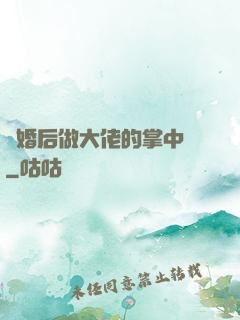 隱婚后做大佬的掌中嬌