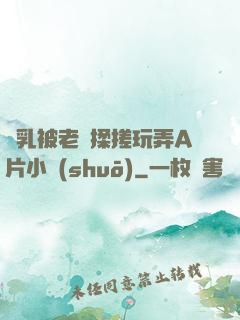 雙乳被老漢揉搓玩弄A片小說(shuō)