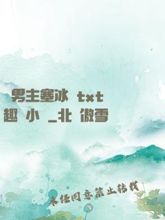 雙男主塞冰塊txt筆趣閣小說