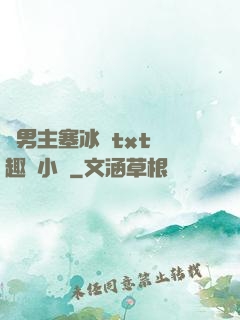 雙男主塞冰塊txt筆趣閣小說