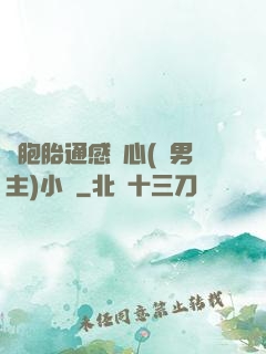 雙胞胎通感夾心(雙男主)小說