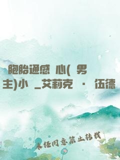 雙胞胎通感夾心(雙男主)小說