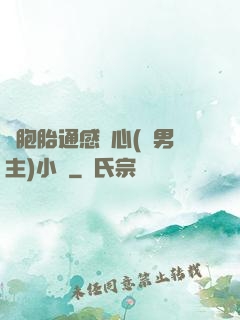 雙胞胎通感夾心(雙男主)小說