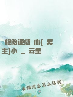 雙胞胎通感夾心(雙男主)小說
