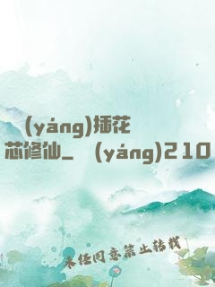 雙陽(yáng)插花芯修仙