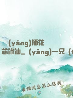 雙陽(yáng)插花芯修仙