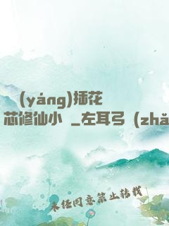 雙陽(yáng)插花芯修仙小說