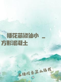 雙陽插花芯修仙小說