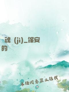 雙魂紀(jì)