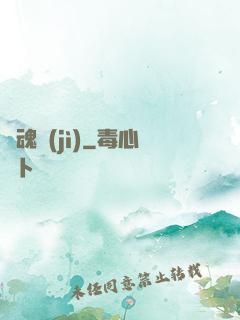 雙魂紀(jì)