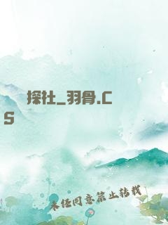 雙龍偵探社