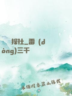 雙龍偵探社