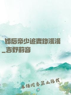 離婚后帝少追妻路漫漫