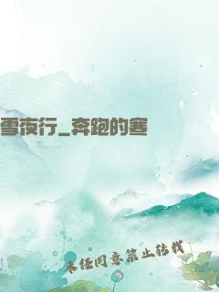 雪夜行