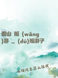 雪山飛狐網(wǎng)游錄