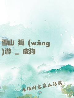 雪山飛狐網(wǎng)游錄