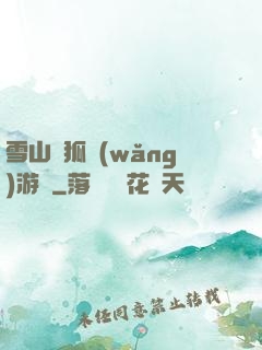 雪山飛狐網(wǎng)游錄