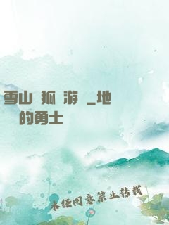 雪山飛狐網游錄