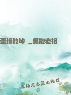 雪狐乾坤錄