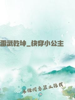 雷武乾坤