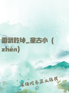 雷武乾坤
