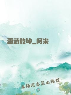 雷武乾坤