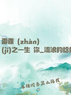 雷霆戰(zhàn)機(jī)之一生為你