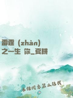 雷霆戰(zhàn)機之一生為你