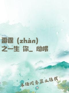 雷霆戰(zhàn)機之一生為你