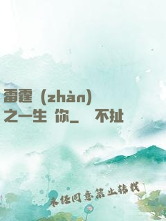 雷霆戰(zhàn)機之一生為你