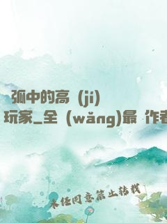 電弧中的高級(jí)玩家