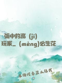 電弧中的高級(jí)玩家