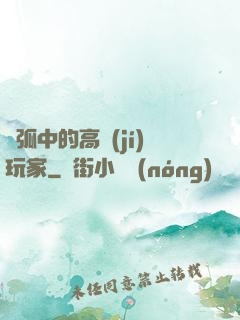 電弧中的高級(jí)玩家