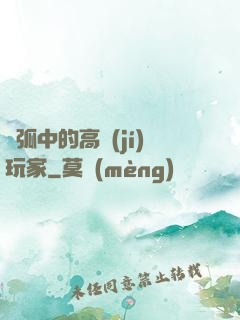 電弧中的高級(jí)玩家