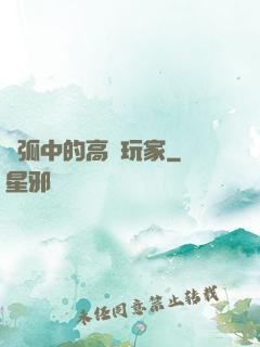 電弧中的高級玩家
