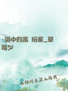 電弧中的高級玩家